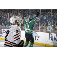 Chicago Wolves C Ivan Barbashev Celebrates a Goal vs. the Rockford IceHogs