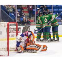 Johnstown Tomahawks Celebrate a Goal vs. the Aston Rebels