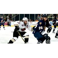 Atlanta Gladiators vs. the Greenville Swamp Rabbits