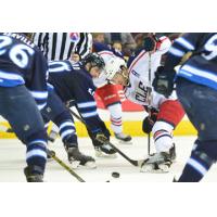 Lake Erie Monsters Face off with the Manitoba Moose