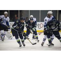 Bloomington Thunder vs. the Lincoln Stars