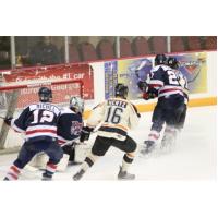 Macon Mayhem Battle the Knoxville Ice Bears