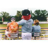 St. Cloud Rox mascot Chisel watches the game