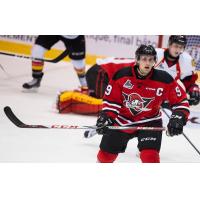 Forward Nicolas Guay with the Drummondville Voltigeurs
