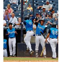 Tampa Tarpons celebrate a home run