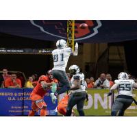 Baltimore Brigade wide receiver Joe Hills leaps high for a ball against the Albany Empire