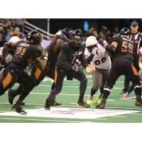 The Arizona Rattlers offense operates against the Sioux Falls Storm