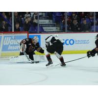Vancouver Giants forward Justin Sourdif completes his hat trick against the Calgary Hitmen