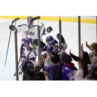Tri-City Storm and fans celebrate a goal