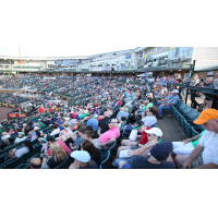 Fans at The Ballpark, home of the Jackson Generals