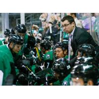 Texas Stars on the bench