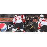 Binghamton Devils battle the Hershey Bears