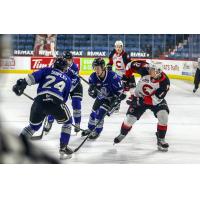 Prince George Cougars left wing Davin Griffen (right) vs. the Victoria Royals