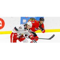 Grand Rapids Griffins center Chase Pearson (left) vs. the Rockford IceHogs
