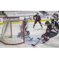 Craig Armstrong scores for the Prince George Cougars vs. the Vancouver Giants