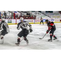 Koehn Ziemmer of the Prince George Cougars (right) vs. the Vancouver Giants