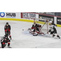 Prince George Cougars goaltender Taylor Gauthier vs. the Vancouver Giants