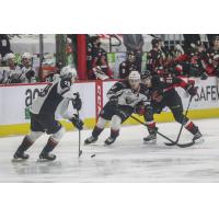 Vancouver Giants defenceman Tanner Brown (left) vs. the Prince George Cougars