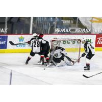 Vancouver Giants goaltender Drew Sim eyes a loose puck vs. the Prince George Cougars