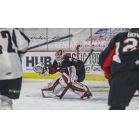 Prince George Cougars goaltender Taylor Gauthier