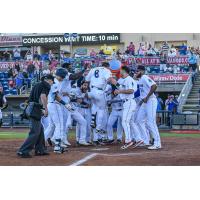 Peyton Burdick is mobbed by Pensacola Blue Wahoos teammates at home following his game-winning home run