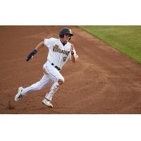 Charleston RiverDogs infielder Curtis Mead