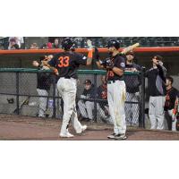 Long Island Ducks congratulate Hector Sanchez on his home run