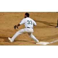 Long Island Ducks first baseman Hector Sanchez