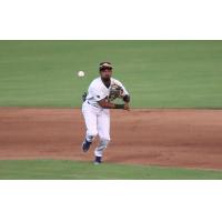 Charleston RiverDogs in the field