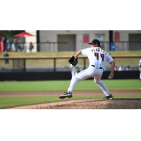 Fayetteville Woodpeckers pitcher Peyton Plumlee