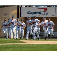 St. Cloud Rox rush the field