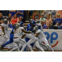 Columbus Lions vs. the Carolina Cobras