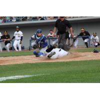 Sussex County Miners outfielder Eric Jenkins slides home with a run