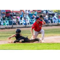 Jordan Barth of the St. Cloud Rox makes a play in the field