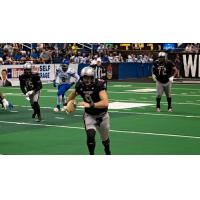 Carolina Cobras quarterback Sam Castronova