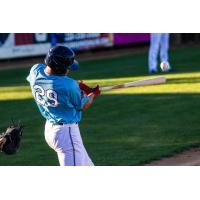 Nate Swarts takes a swing for the St. Cloud Rox