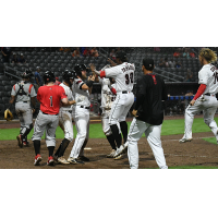 Fayetteville Woodpeckers celebrate a walk-off win