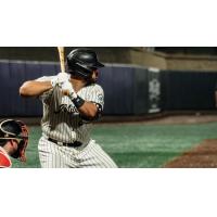 Milwaukee Milkmen catcher Christian Correa at bat