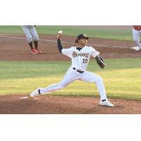 Charleston RiverDogs pitcher Taj Bradley