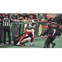 Jacksonville Sharks receiver Gregory Phillips vs. the Orlando Predators