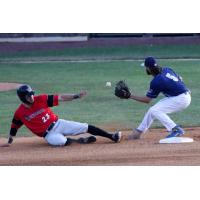 New York Boulders' Zach Penprase awaits a throw to tag out a sliding Grant Heyman of the Washington Wild Things