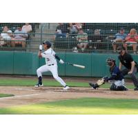 Tri-City Dust Devils infielder Kyle Kasser