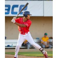 Andrew Pinckney at bat for the St. Cloud Rox