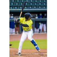 Juan Carlos Negret at bat for the Columbia Fireflies