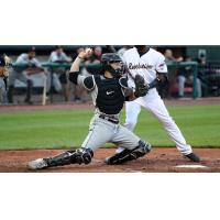 Long Island Ducks catcher Sal Giardina