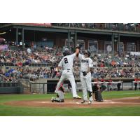 Somerset Patriots celebrate Donny Sands' two-run home run