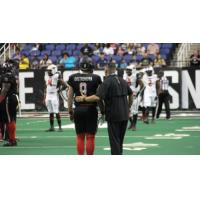 Carolina Cobras quarterback Sam Castronova