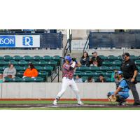 Dayson Croes at bat for the Green Bay Booyah