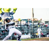 Juan Carlos Negret of the Columbia Fireflies