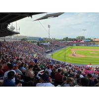 The crowd on Sunday at FirstEnergy Stadium, home of the Reading Fightin Phils